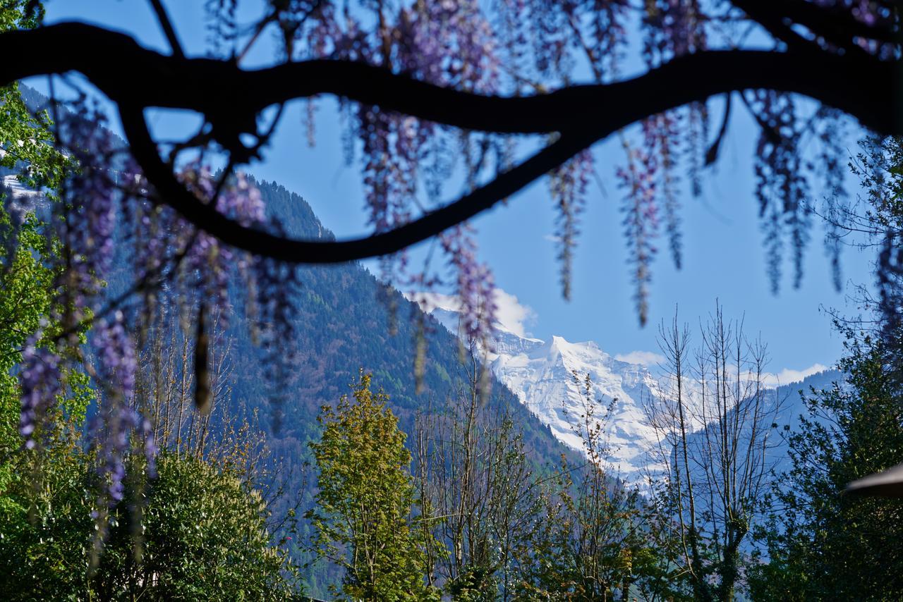 Boutique B&B Maison Bergdorf Interlaken Kültér fotó